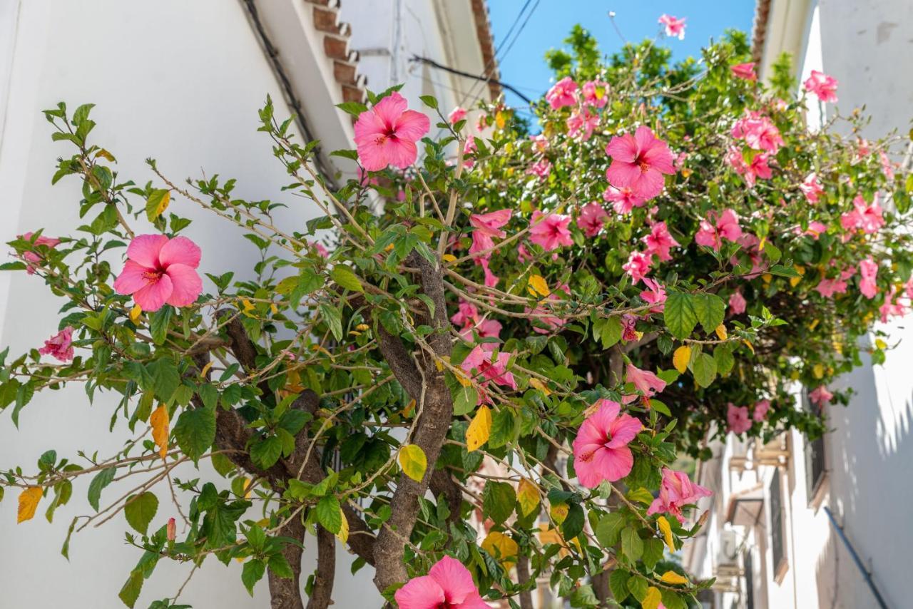 Lovely Cozy 2-Bedroom Residential Home With Patio Benalmádena Exteriör bild